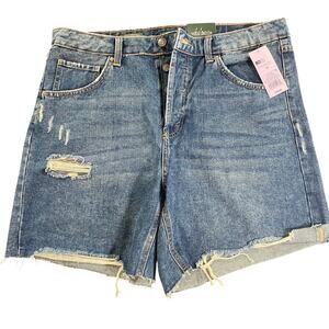 Wild Fable High Rise Distressed Jean Shorts Ripped Raw Hem Denim